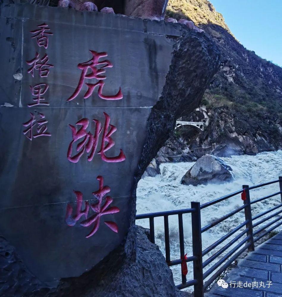 中国科学院杭州医学研究所来了！瞄准全球医学前沿